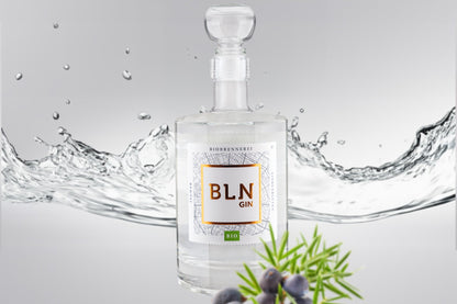 BLN BIO GIN, 45 % 200 ml